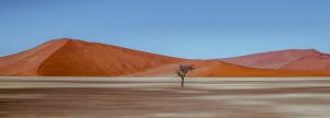 Loneliness