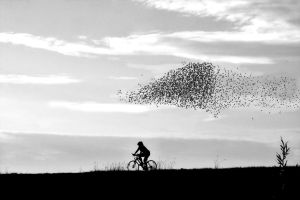 Biciklizés
Cycling